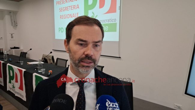 Thomas-Braconi-650x366-1