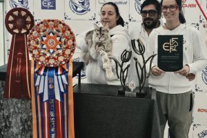 Olimpia, la gatta campione del mondo