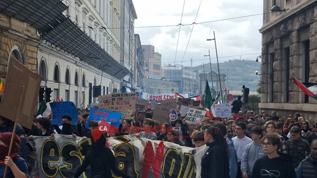 manifestazione-11-650x366