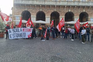 Strutture, trasporti e tetto agli stranieri:  gli studenti in sciopero,  la manifestazione ai Cancelli