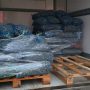 Vongole senza identità:  sequestrate 2,5 tonnellate